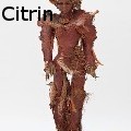 Ione Citrin - Tree-Sa - None