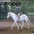 Mark Amodeo -  - None